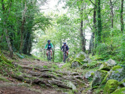 Camping Au Lac d'Hautibus*** - Camping Deux-Sèvres - Image N°12