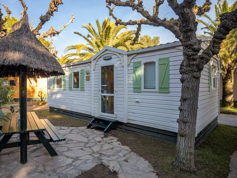 BUNGALOW 6 personnes - Excelle BUNGALOW 6 personnes - Excelle