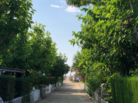 Camping Miramar - Camping Tarragone - Image N°8