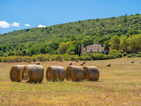 Camping Château de l'Eouvière - Camping Var - Image N°13