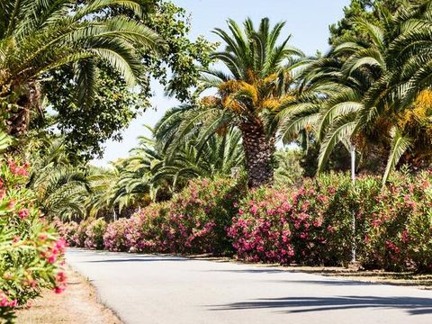 Camping Marina d'Erba Rossa - Camping Corse du Nord - Image N°43