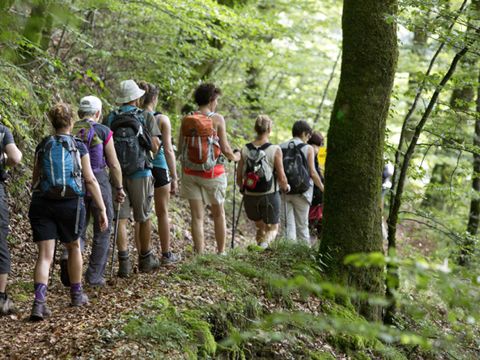 Camping Paradis - L'Europe - Camping Puy-de-Dôme - Image N°31
