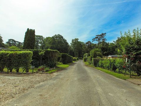 Camping des Bondons - Camping Seine-et-Marne - Image N°5