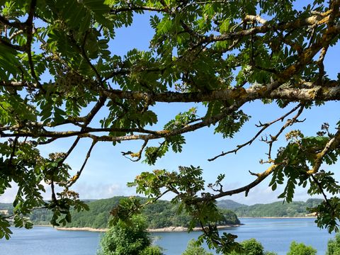 Les Rives du Lac du Laouzas - Camping Tarn - Image N°14