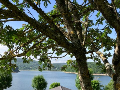 Les Rives du Lac du Laouzas - Camping Tarn - Image N°9