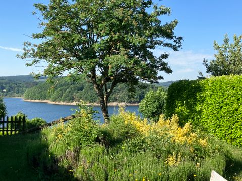 Les Rives du Lac du Laouzas - Camping Tarn - Image N°12