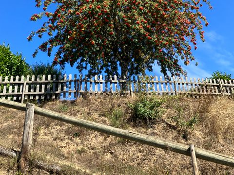 Les Rives du Lac du Laouzas - Camping Tarn - Image N°11