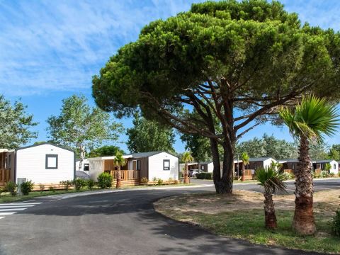 Camping Campeole La Côte des Roses - Camping Aude - Image N°36