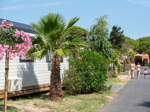 Camping Campéole La Côte des Roses - Camping Aude - Image N°32