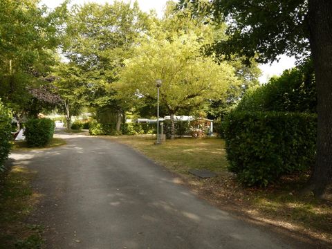 Camping Plein Air Neuvicois - Camping Dordogne - Image N°12
