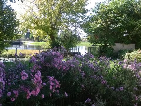 Camping Plein Air Neuvicois - Camping Dordogne - Image N°16