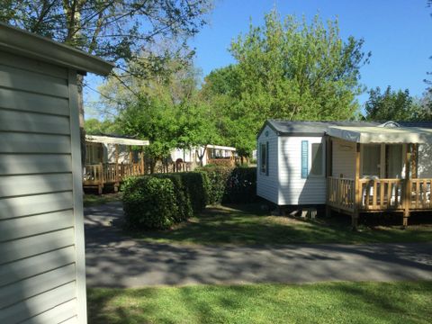 Camping Plein Air Neuvicois - Camping Dordogne - Image N°4