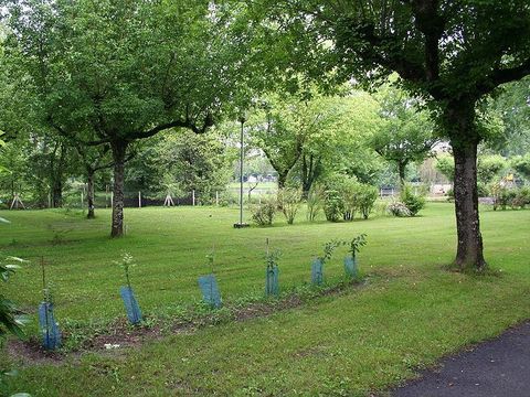 Camping Plein Air Neuvicois - Camping Dordogne - Image N°3