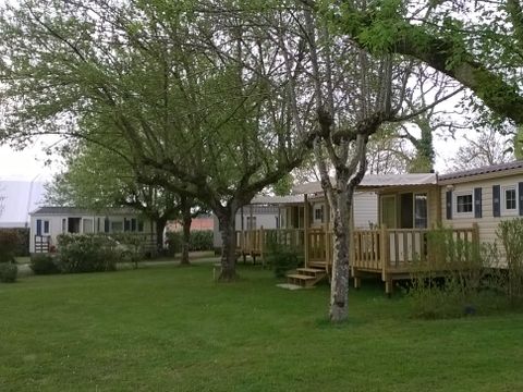 Camping Plein Air Neuvicois - Camping Dordogne - Image N°24