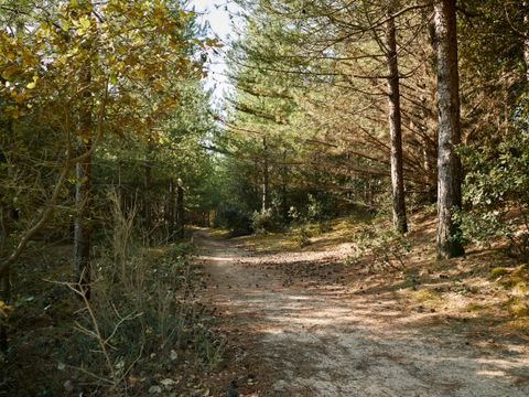 Camping L'Albizia - Camping Vendée - Image N°32