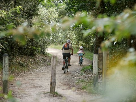 Camping L'Albizia - Camping Vendée - Image N°34