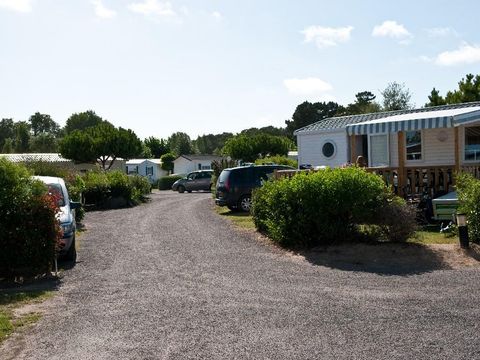 Camping L'Albizia - Camping Vendée - Image N°37