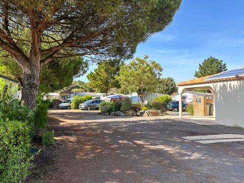 Camping L'Albizia - Camping Vendée - Image N°45
