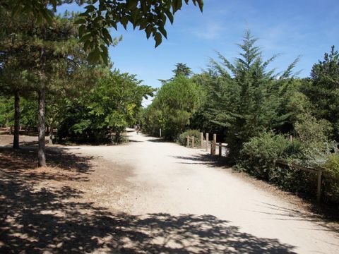 Camping L'Albizia - Camping Vendée - Image N°41