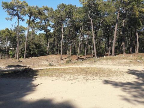 Camping de la Rive - Camping Vendée - Image N°16