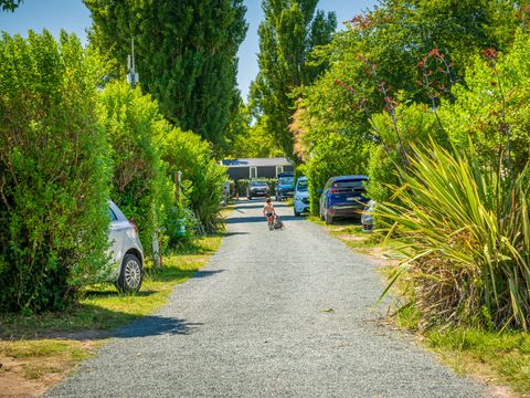 Camping Oléron Loisirs   Camping Oléron Loisirs   - Camping Charente-Maritime - Image N°51