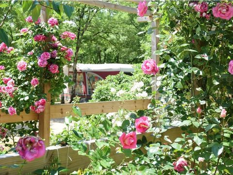 Camping Les 3 Cantons - Camping Tarn-et-Garonne - Image N°37
