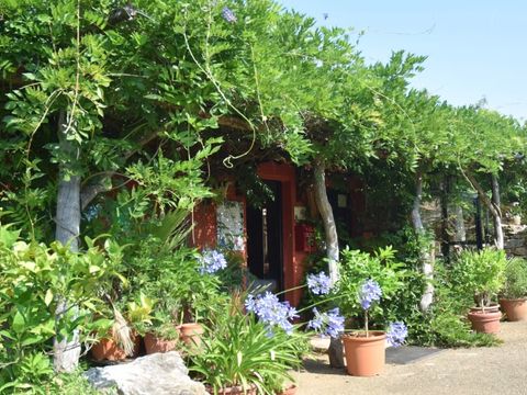 Camping Les 3 Cantons - Camping Tarn-et-Garonne - Image N°14