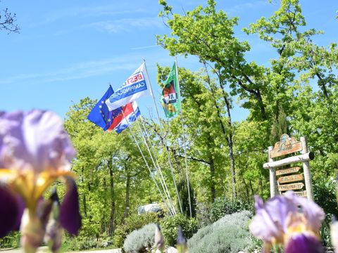 Camping Les 3 Cantons - Camping Tarn-et-Garonne - Image N°34