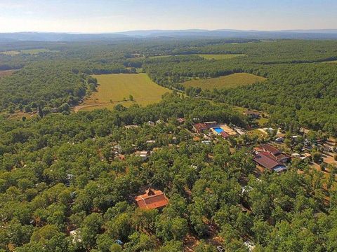 Camping Les 3 Cantons - Camping Tarn-et-Garonne - Image N°4