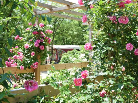 Camping Les 3 Cantons - Camping Tarn-et-Garonne - Image N°31