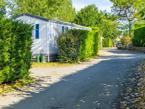 Camping Le Bois Soleil - Camping Vendée - Image N°80