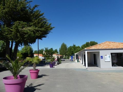 Camping Le Bois Soleil - Camping Vendée - Image N°31