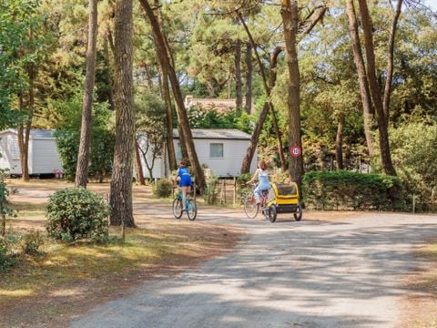 Camping maeva Respire Le Bois de La Gachère - Camping Vendée - Image N°22