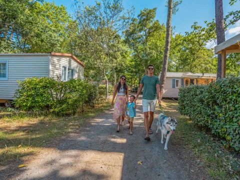 Camping Lou Pignada - Camping Landes - Image N°15