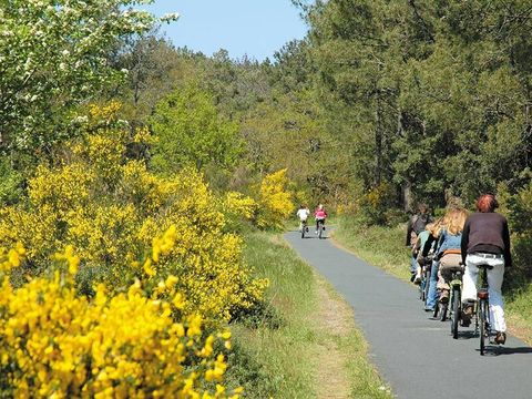 Camping Lou Pignada - Camping Landes - Image N°7