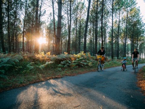 Camping Landae - Camping Landes - Image N°15
