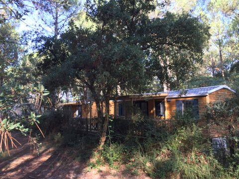 LODGE 12 personnes - Cottage Floresta "Vue forêt" 10-12p - 5 chambres - TV - Climatisation