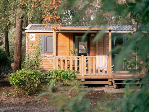 Camping Landae - Camping Landes - Image N°13