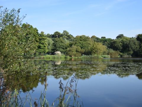 Camping Landae - Camping Landes - Image N°19