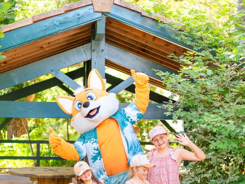 Camping Landae - Camping Landes - Image N°5
