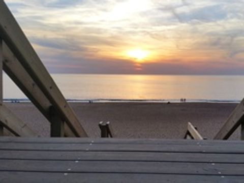Camping Landae - Camping Landes - Image N°14