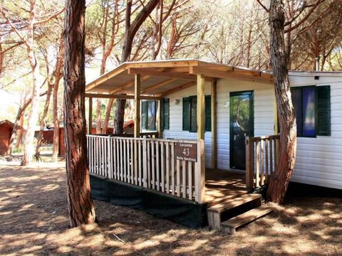 MOBILHOME 5 personnes - LAVANDA