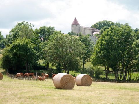 Flower Camping  La Rochelambert - Camping Haute-Loire - Image N°64