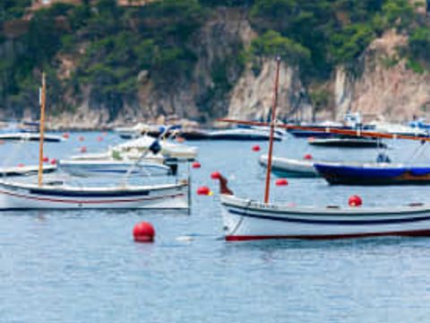 Camping Calella de Palafrugell - Camping Gérone - Image N°21