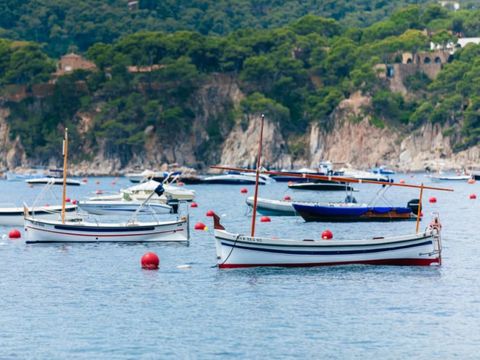 Camping Calella de Palafrugell - Camping Gérone - Image N°13