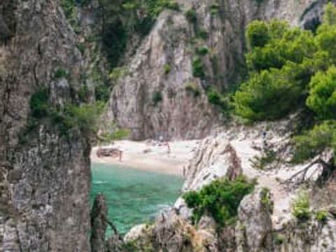 Camping Calella de Palafrugell - Camping Gérone - Image N°19