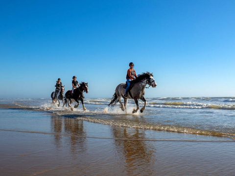 Camping Atlantic Club Montalivet - Camping Gironde - Image N°31