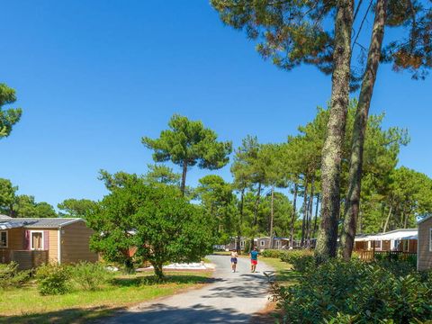 Camping Atlantic Club Montalivet - Camping Gironde - Image N°42