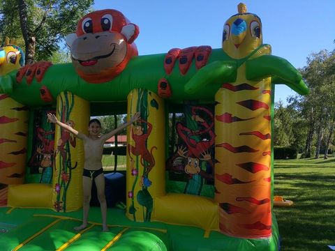 Camping Paradis des Dombes - Camping Ain - Image N°3