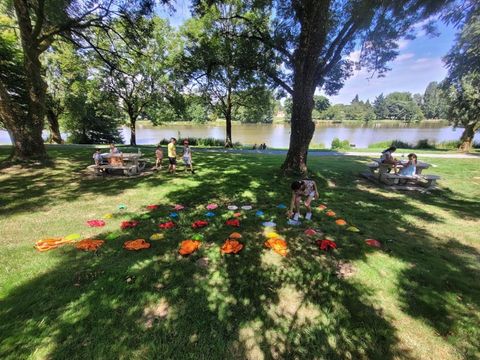 Camping Le Moulin Des Effres **** - Camping Deux-Sèvres - Image N°2
